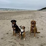 بيت للعطل Polnische Ostsee Mit Kamin Sieroslaw (Kamien)