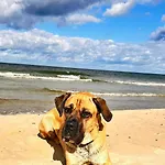 Polnische Ostsee Mit Kamin بيت للعطل