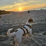 بيت للعطل Polnische Ostsee Mit Kamin Sieroslaw (Kamien)