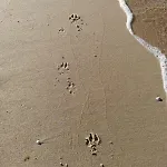 بيت للعطل Polnische Ostsee Mit Kamin