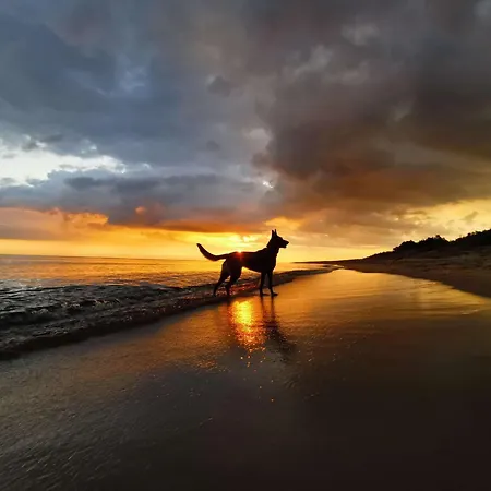 Polnische Ostsee Mit Kamin Casa de Férias *