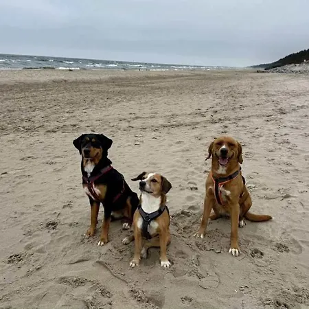 別荘 Polnische Ostsee Mit Kamin Sierosław