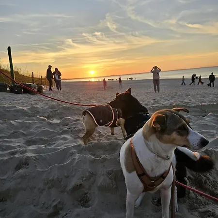 別荘 Polnische Ostsee Mit Kamin Sierosław