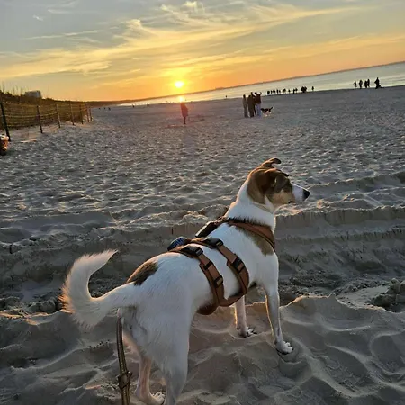 別荘 Polnische Ostsee Mit Kamin Sierosław