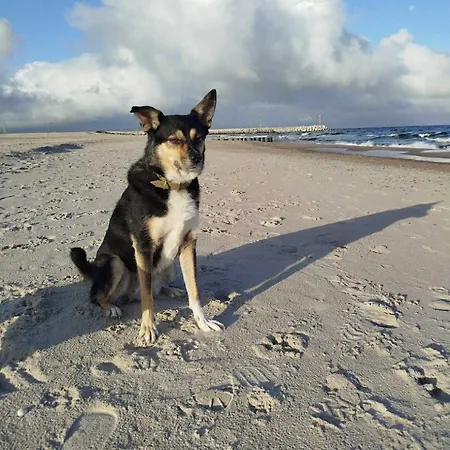 Polnische Ostsee Mit Kamin 別荘