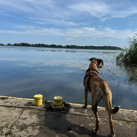 Polnische Ostsee Mit Kamin *
