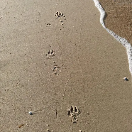 別荘 Polnische Ostsee Mit Kamin
