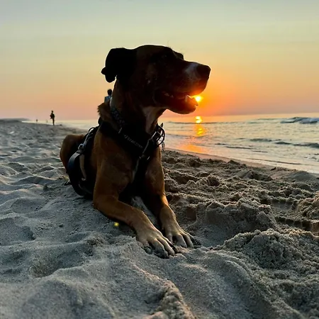 Polnische Ostsee Mit Kamin Sierosław